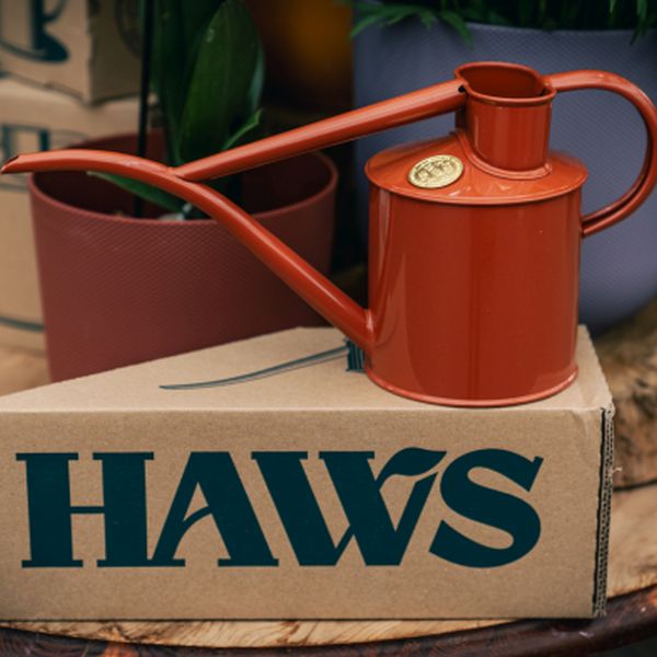 Haws The Fazeley Flow Watering Can Terracotta Orange Two Pint