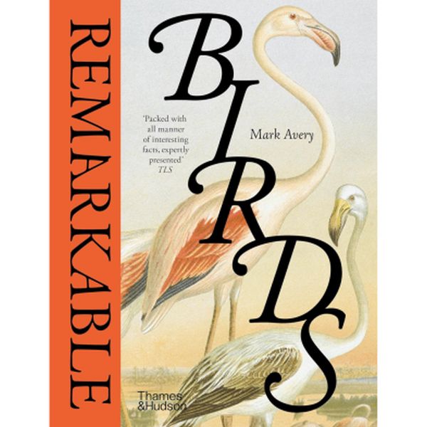 Remarkable Birds by Mark Avery