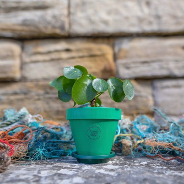 13cm Dark Green Ocean Plastic Pot