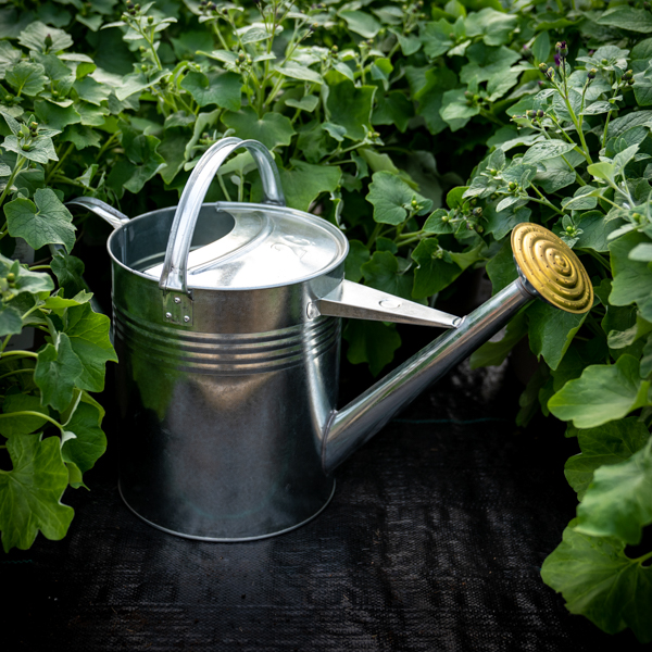 Watering Cans & Water Butts