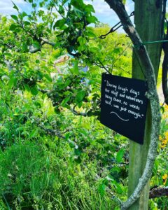 A blackboard sign with chalk writing hanging on a wooden post with fruit trees growing in the background.