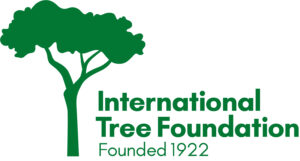 Logo for International Tree Foundation showing a graphic of a tree with large canopy.