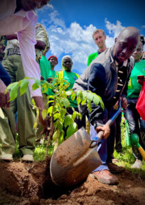 A man planting a leafy, healthy young sapling in the brown soil. Men and women witness the tree planting, against a sunny, blue sky.