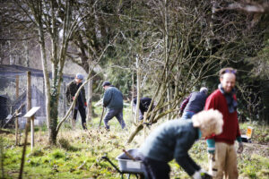 A group of people planting trees in a grass field.